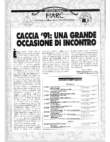 Notiziario_Fiarc_1991-02_22